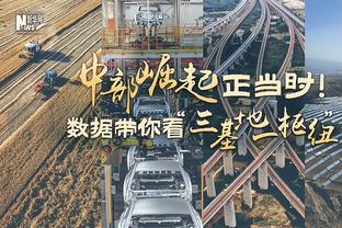 德甲-药厂4-0波鸿提前锁定半程冠军 希克戴帽药厂赛季不败创纪录